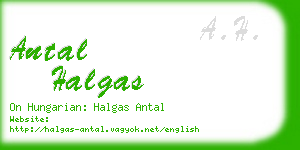 antal halgas business card